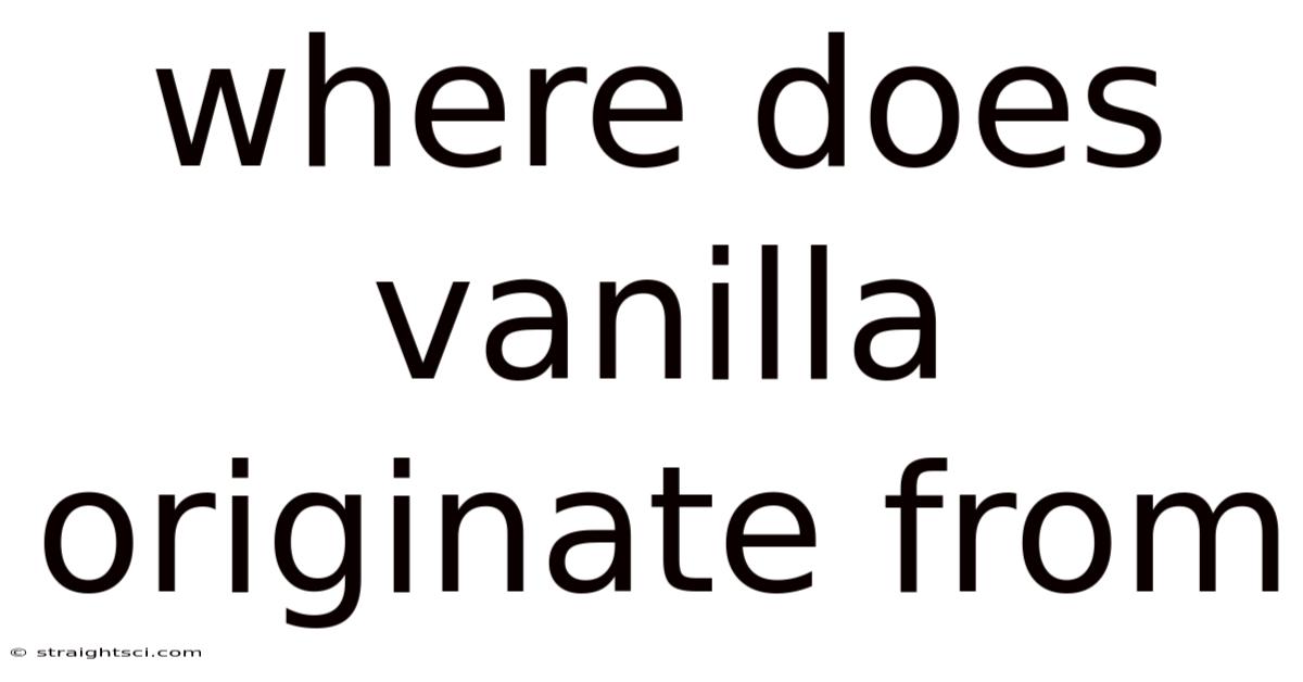 Where Does Vanilla Originate From
