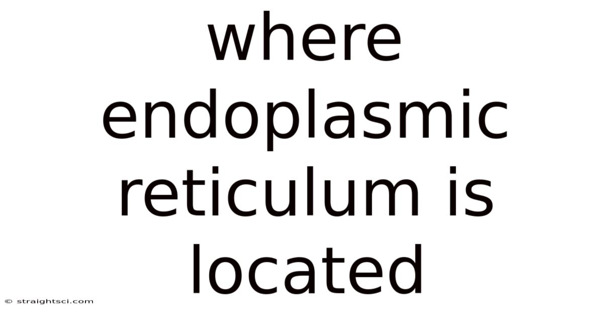 Where Endoplasmic Reticulum Is Located