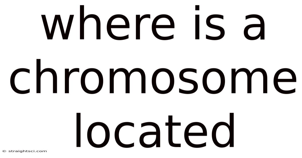 Where Is A Chromosome Located