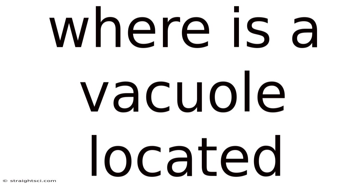 Where Is A Vacuole Located