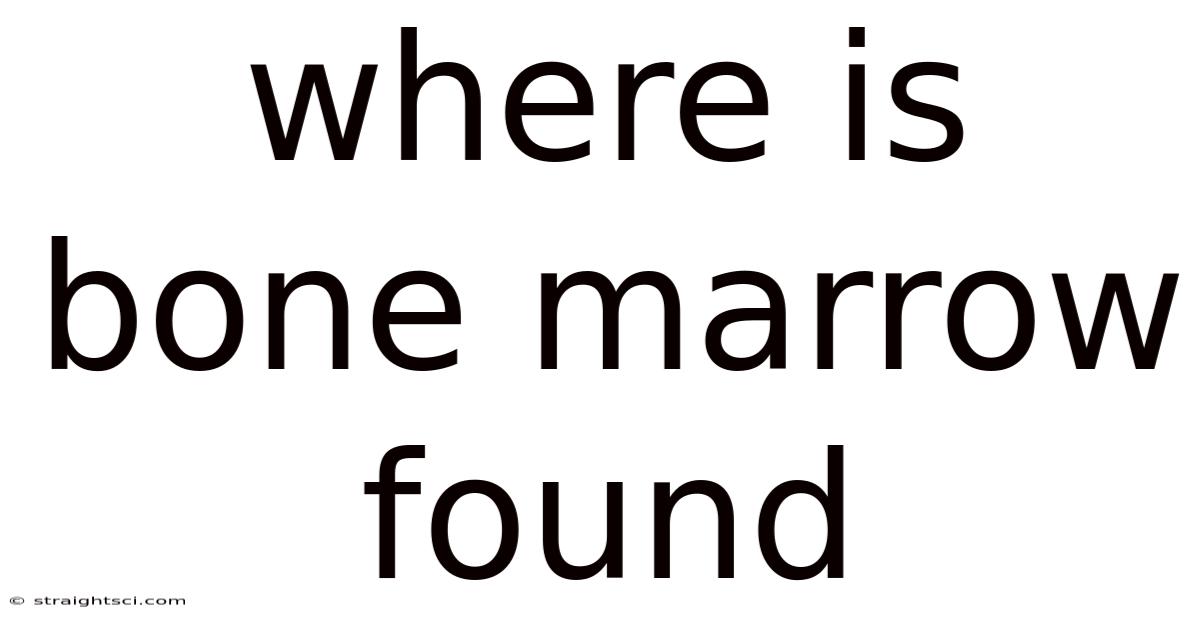 Where Is Bone Marrow Found