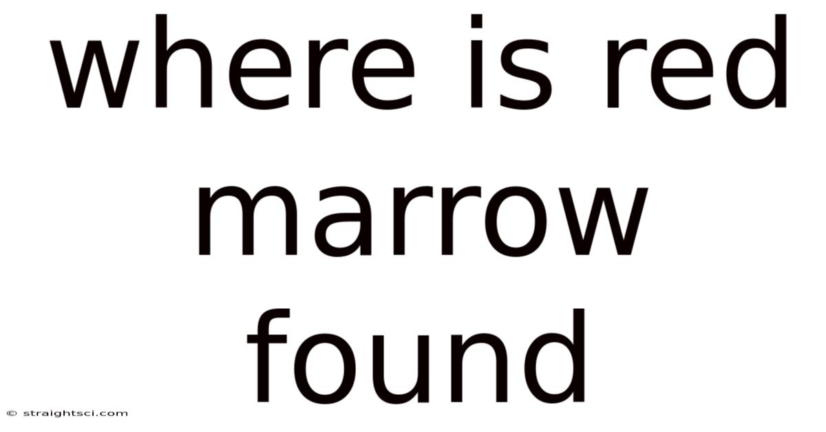 Where Is Red Marrow Found
