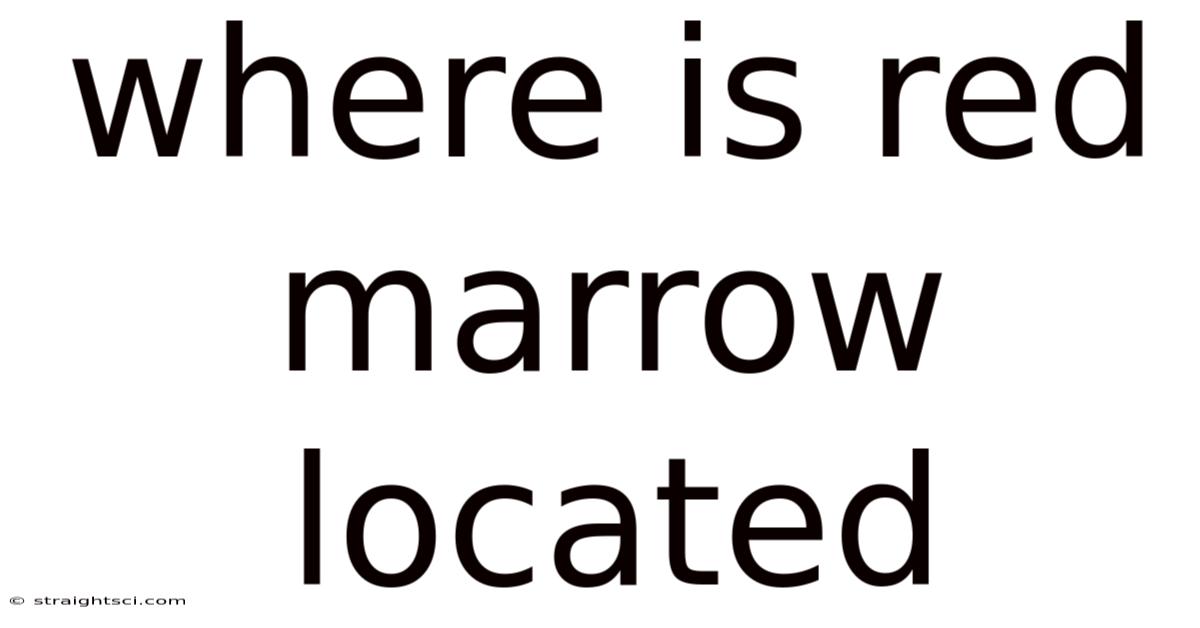 Where Is Red Marrow Located