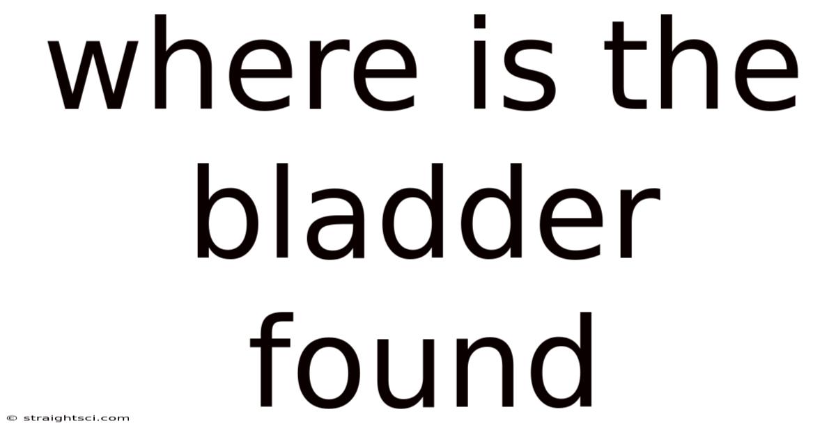 Where Is The Bladder Found