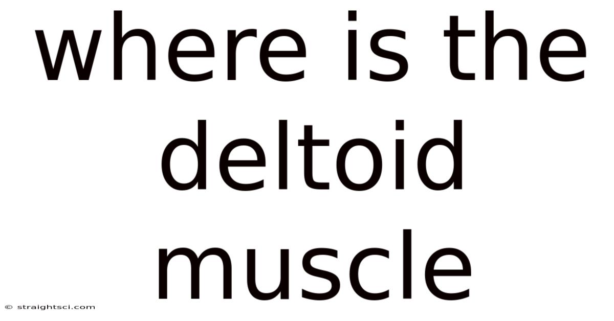 Where Is The Deltoid Muscle