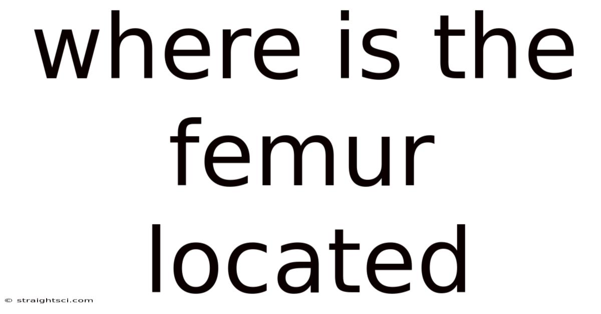 Where Is The Femur Located