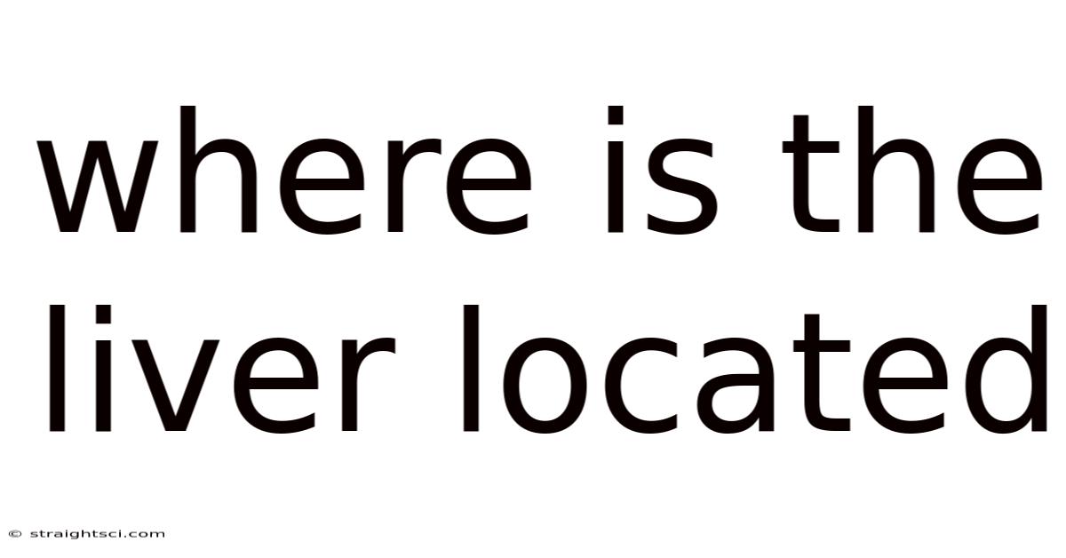 Where Is The Liver Located