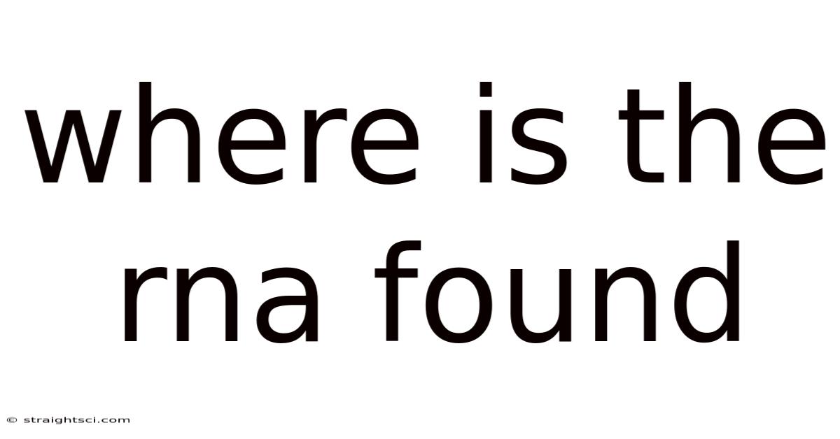 Where Is The Rna Found