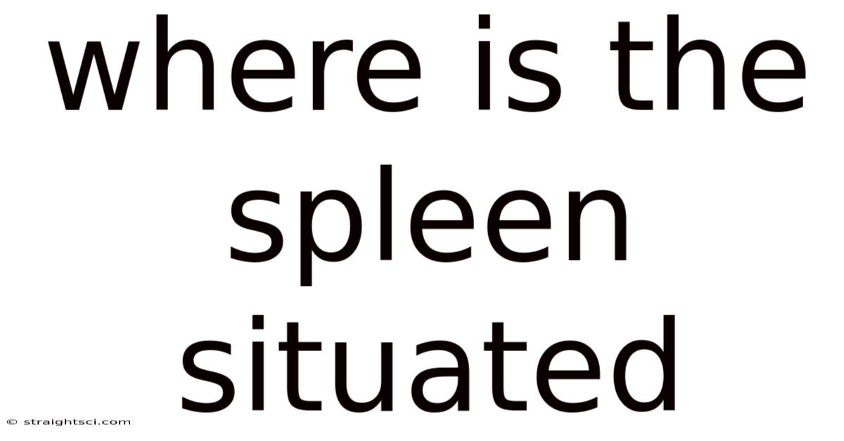 Where Is The Spleen Situated
