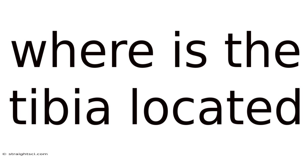 Where Is The Tibia Located
