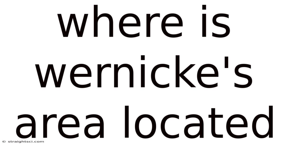 Where Is Wernicke's Area Located