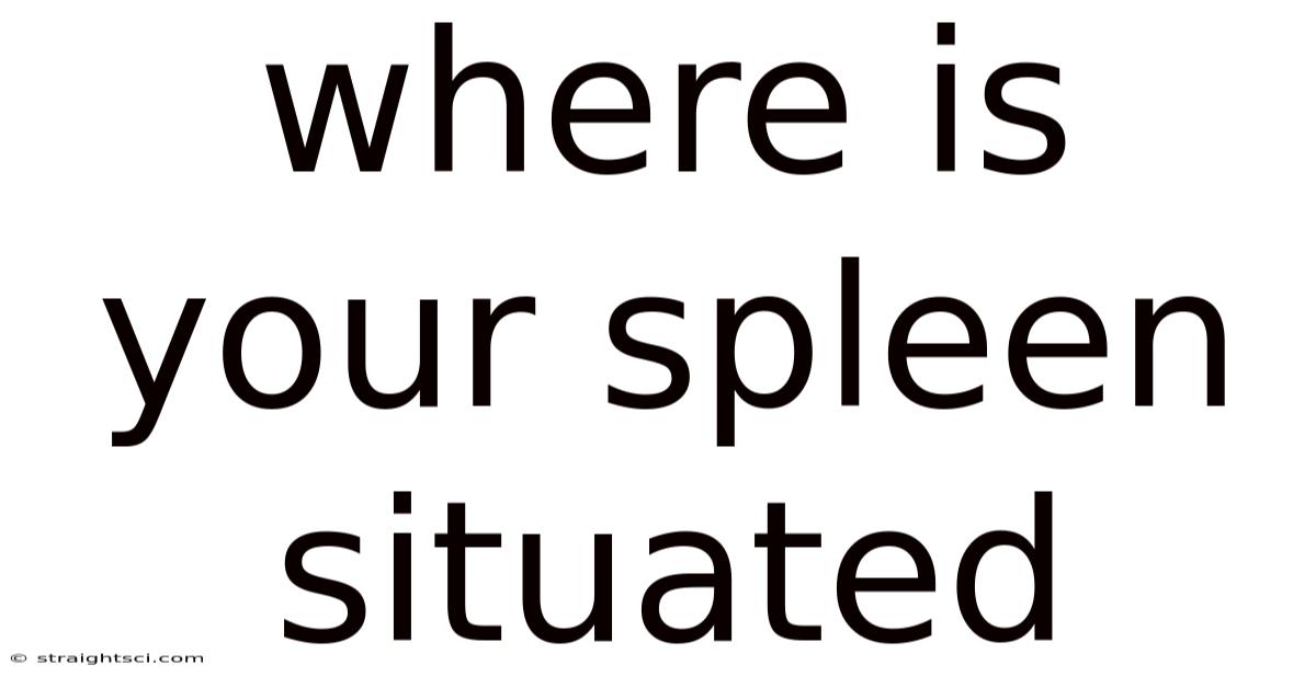 Where Is Your Spleen Situated