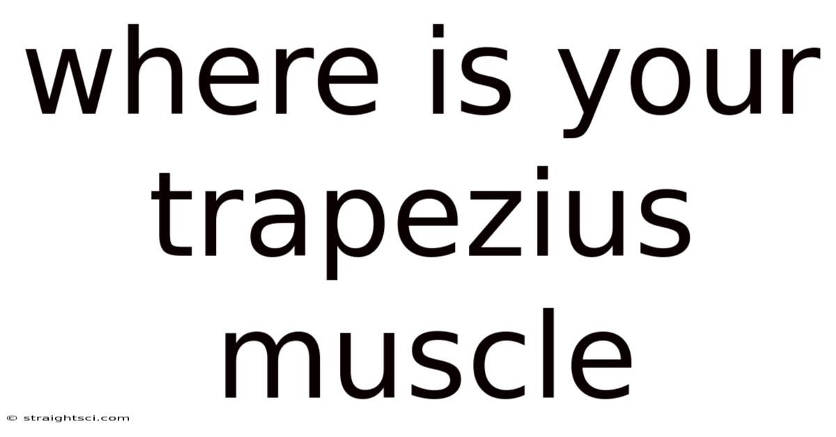 Where Is Your Trapezius Muscle
