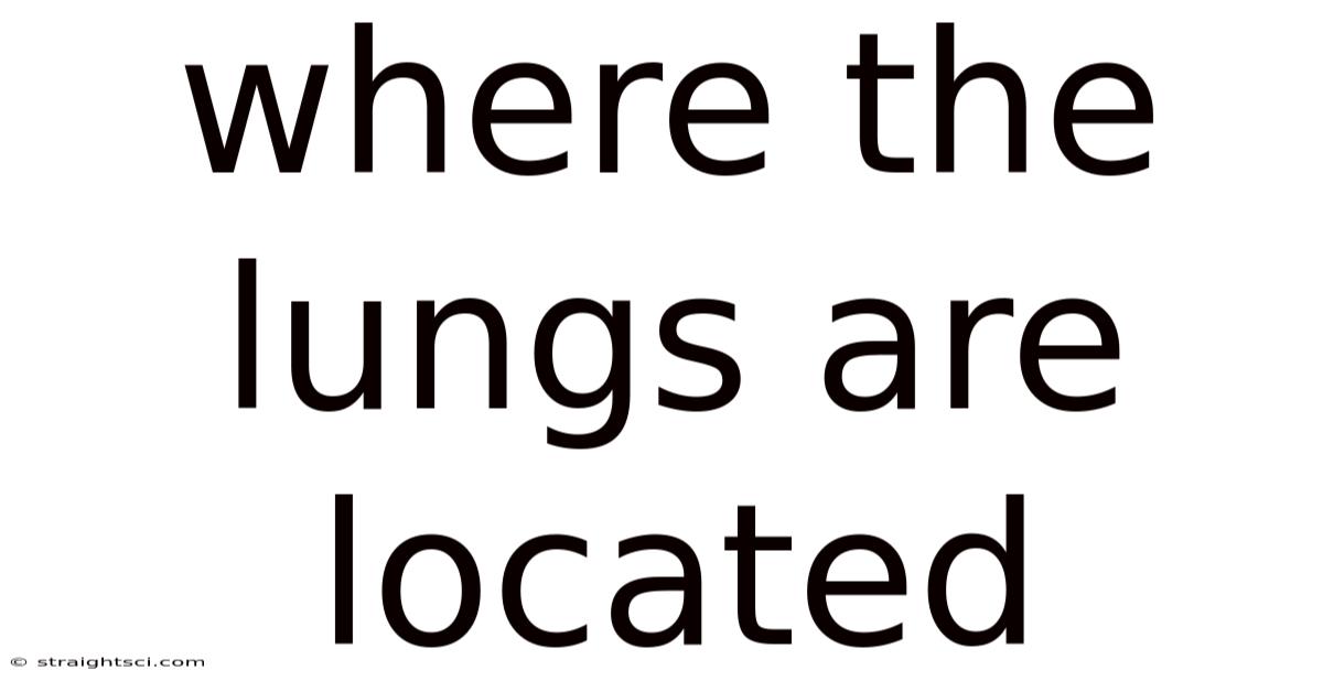 Where The Lungs Are Located