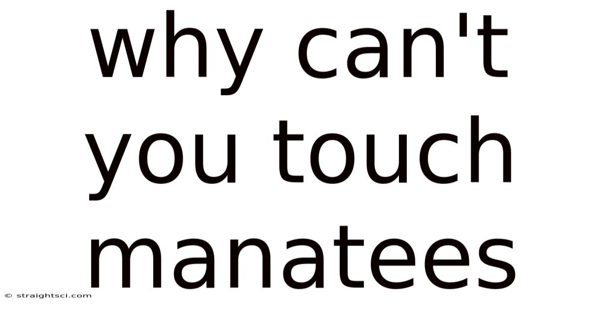 Why Can't You Touch Manatees