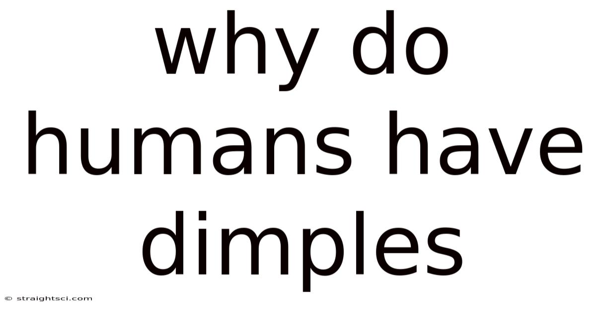 Why Do Humans Have Dimples