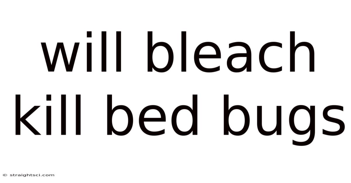 Will Bleach Kill Bed Bugs