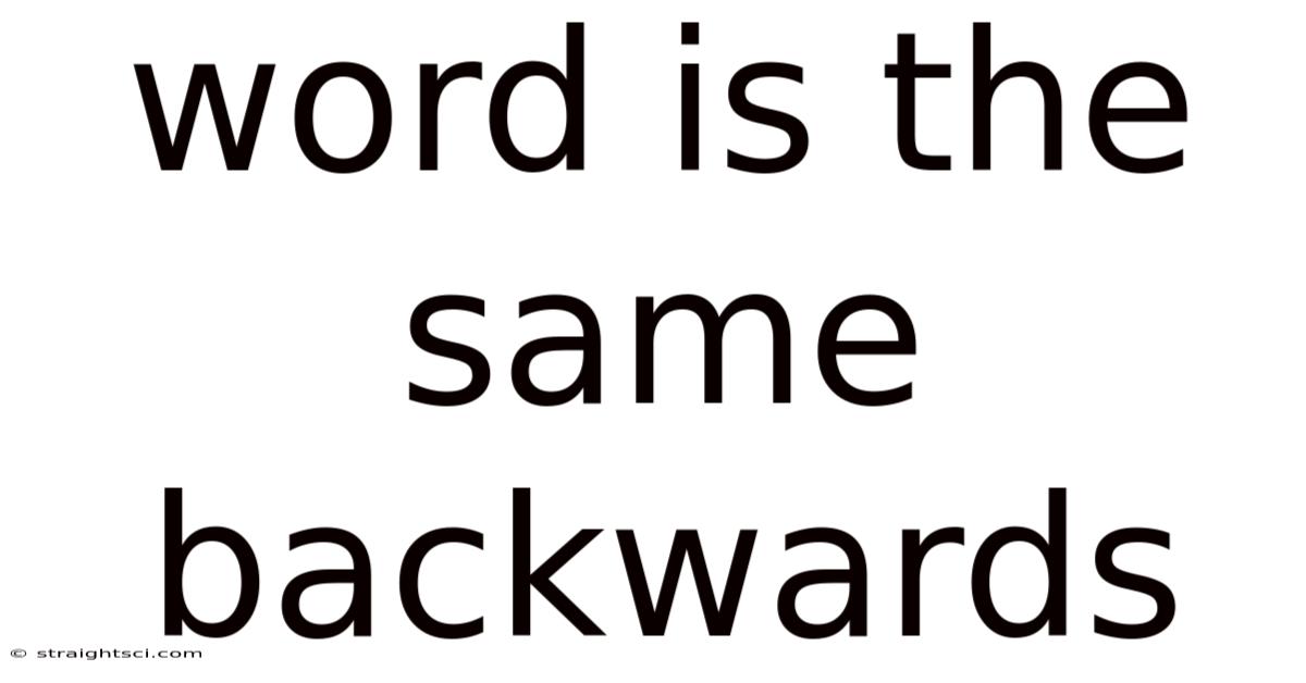 Word Is The Same Backwards