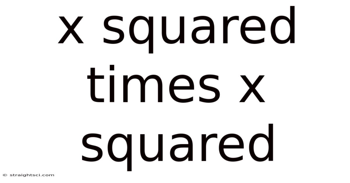 X Squared Times X Squared